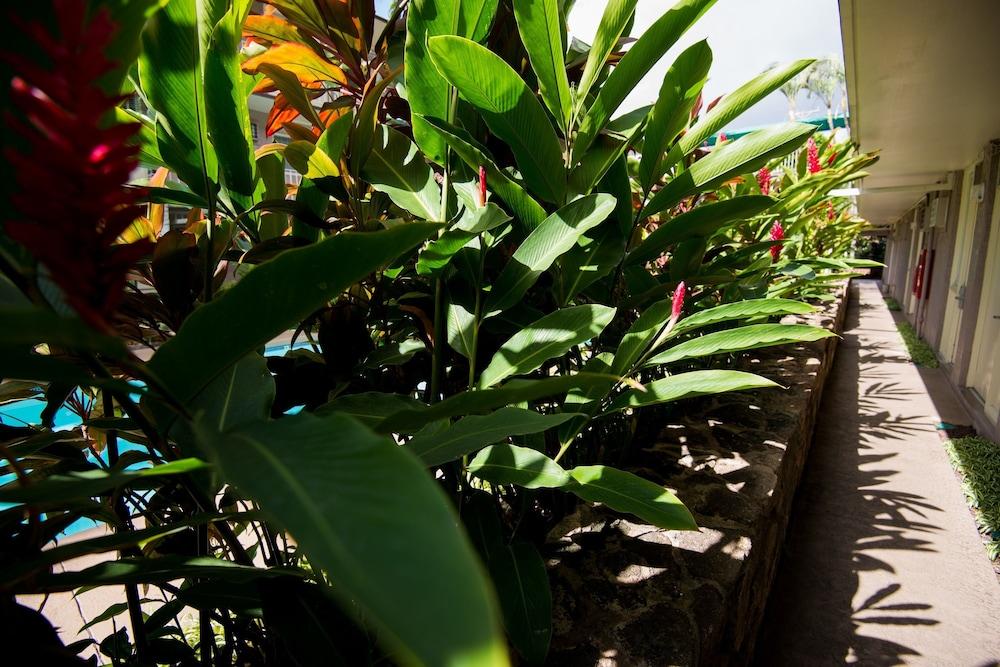 Pacific Marina Inn Airport Honolulu Ngoại thất bức ảnh